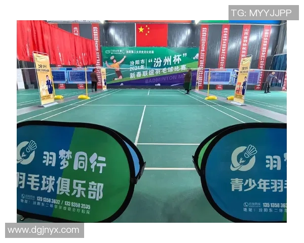 武汉羽毛球队的团队协作精神与成功之道探讨