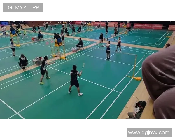 广州羽毛球队在总决赛中的蜕变与新篇章探索之旅
