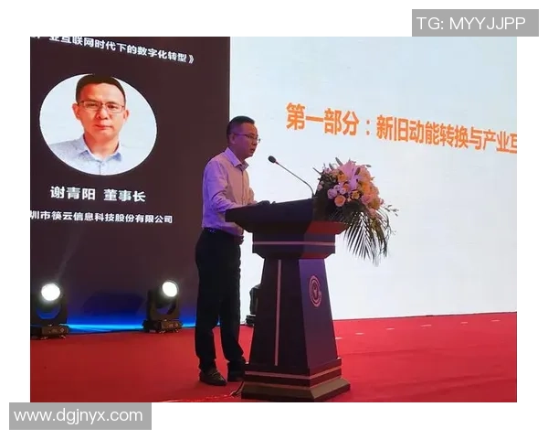 深圳篮球队的转型之路与未来发展趋势深度解析